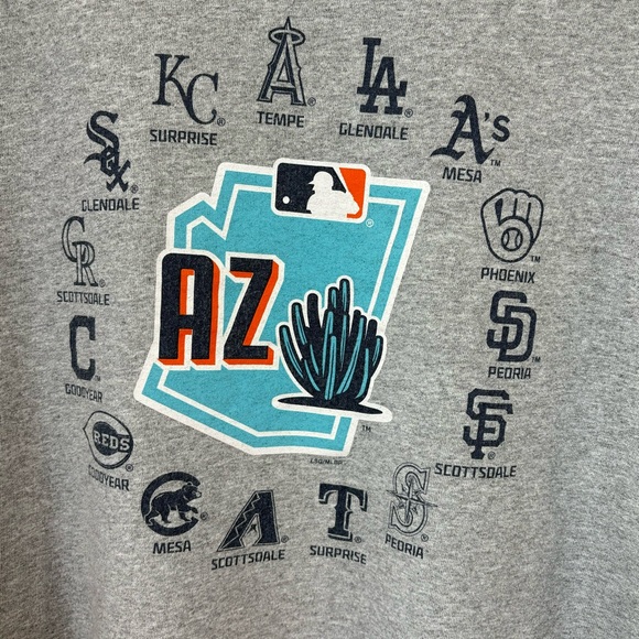 MLB Men’s Arizona Cactus League Spring Training Duck Pond Heather Gray Tee L EUC - Picture 2 of 6